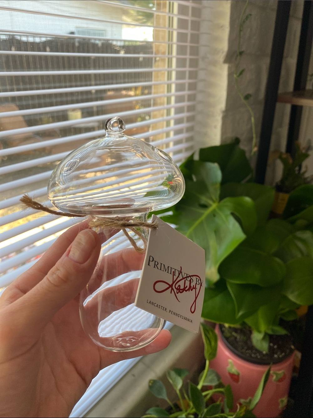 🍄 Primitives by Kathy Clear Glass propagation Mushroom Ornament